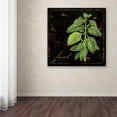 thumbnail image 4 of Trademark Fine Art "Black Gold Herbs IV" Canvas Art by Color Bakery, 4 of 4