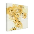 thumbnail image 2 of Trademark Fine Art 'Yellow Roses Anew I v.2' Canvas Art by Chris Paschke, 2 of 3
