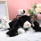 thumbnail image 4 of Peluche Skylety Cat con bebés en el vientre, 5 unidades, 4 of 6