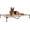 Beige Coffee, variant on HarmonyStrings Outdoor Elevated Dog Bed Large Sized Dogs, Large Cooling Raised Dog Cots Beds Training Platform Off Ground Hammock with Breathable Mesh, No-Slip Feet, 42"x30", Black