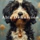 thumbnail image 2 of Cuadro Perros Retratos, 2 of 4