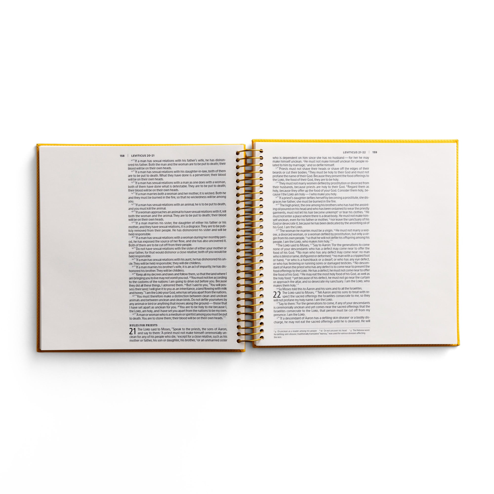 Illustrating Bible Niv: Genesis to Deuteronomy - Spiral Bound Bible Journal, (Spiral-Bound)