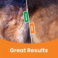 thumbnail image 3 of Descascarillador y descascarillador Comb GoPets para perros y gatos, 3 of 6