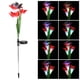thumbnail image 2 of Lámpara de césped RGB 4LED con control de luz estilo lirio rojo con energía solar para patio de jardín al aire libre, 2 of 8