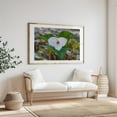 thumbnail image 4 of Trillium Bloom in the Appalachians in Spring - Virginia Photography Flowers Botanical Nature Floral Garden Woodland Scenic Unframed Wall Art Print 5 x 7 inches, 4 of 7