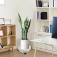 thumbnail image 4 of unbranded Plataforma Para Plantas Con Plástico Beige Con Frenado Ideal Para Macetas Interiores, 4 of 8