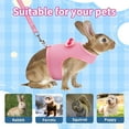 thumbnail image 5 of AIITLE Rabbit Harness and Leash Set with Cute Bow, Bunny Leash Vest Mesh Eescape Proof Walking Training for Small Animal Pets Kitten Puppy Squirrel Ferret Pig Bunny Pink L, 5 of 6
