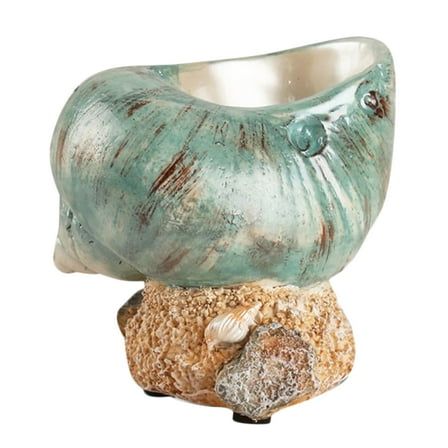 OFFIGAM Natural Turbo Seashell Multi Resin Seashell Artwork Coastal Table Decor 1Pack