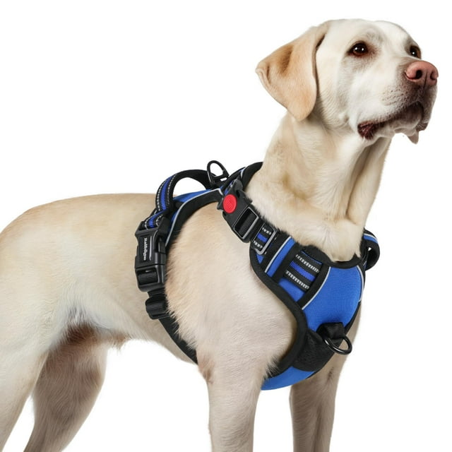 Arnés para perros Rabbitgoo, mejorado, sin tirones, para perros grandes, color azul L