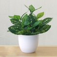 thumbnail image 3 of Visland Mini Fake Plants in Pots,Artificial Plastic Green Plants, Potted Faux Plants Indoor for Office Desk Coffee Table Bathroom Bedroom Home Decorations, 3 of 4