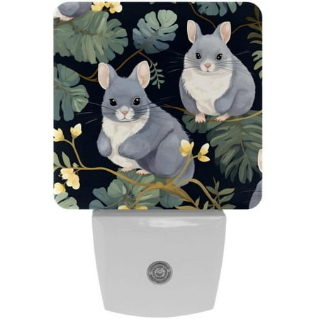 

Monther s Day Chinchilla Set of 2 Night Light Wall Lamp Monther s Day Small LED Lights for Room - Square Night Lights