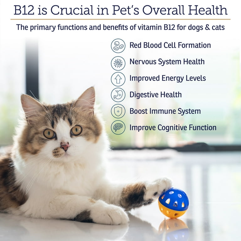 Rx Vitamins B12 for Dogs and Cats- Dog Digestive Support for Improved  Metabolic Process- Pure B12 for Cats to Support Nervous System- Ideal for  Your Dog Vitamins and Cat Supplies- 4oz -