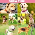 thumbnail image 6 of Minzimin 2pcs Reflective Nylon Dog Collars 2pcs,with Quick Release Buckle,Adjustable Safety Nylon Collars for Small Medium Large Dogs, 6 of 6