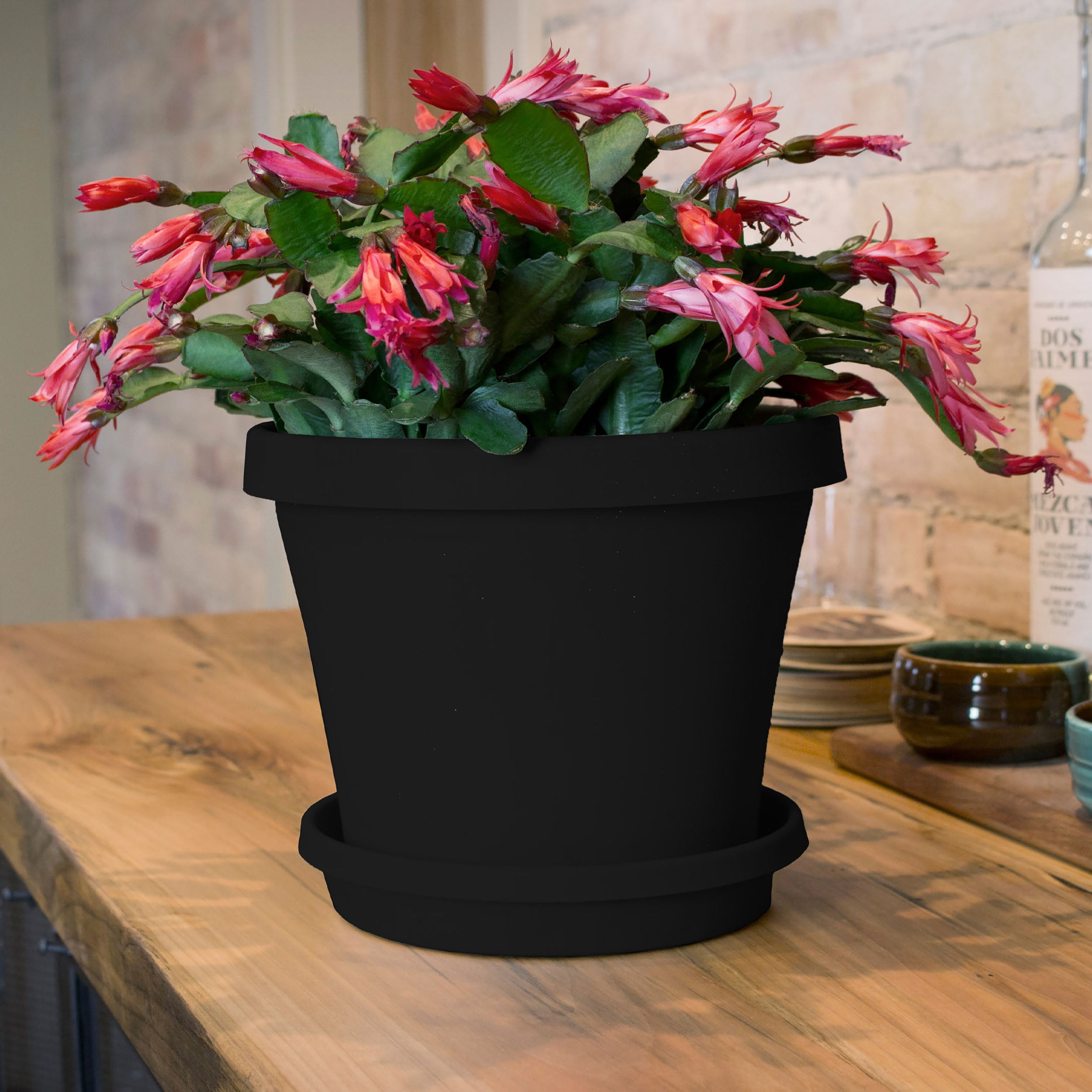 Bloem 16-in Terra Round Resin Planter - Black (Saucer Not Included)