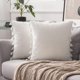 thumbnail image 1 of Wekity Paquete de 2 fundas de almohada decorativas de terciopelo suave y sólido con flecos de borlas, funda de cojín con acento bohemio para sofá cama (20 x 20 pulgadas, Pure W, 1 of 5