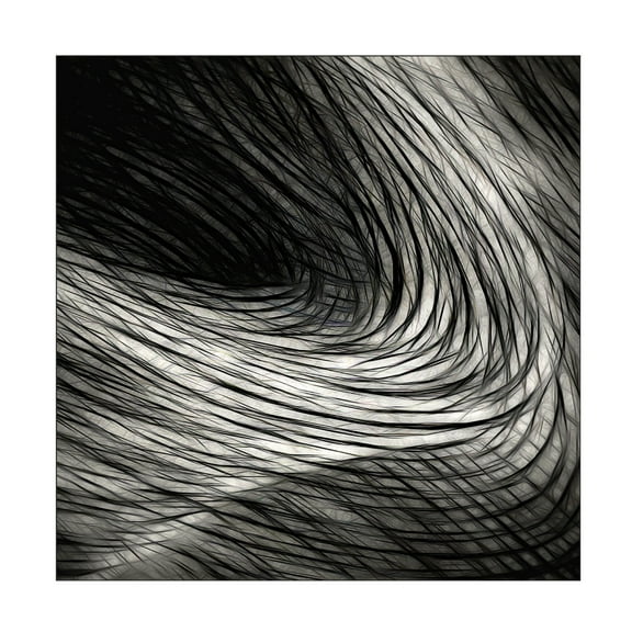 Trademark Fine Art Gilbert Claes  Dark madness Canvas Wall Art