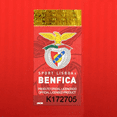 thumbnail image 5 of Camiseta Jersey Miniatura S.L. Benfica Portero 2023/24 con Locker Pack, 5 of 5
