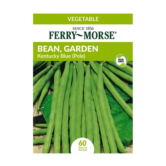 Ferry-Morse Economy Bean, Garden Kentucky Wonder (Pole) Vegetable Plant Seeds Full Sun