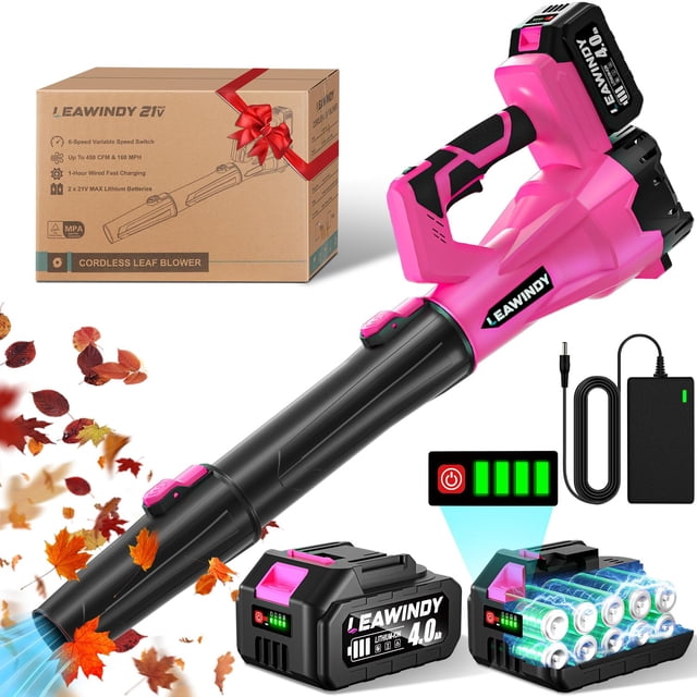 Soplador de hojas inalámbrico LEAWINDY de 21 V y 6 velocidades con 2 baterías de 4 Ah