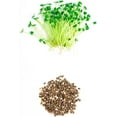 thumbnail image 2 of Chia Seeds for Planting - Chia Microgreens (1,000 Seeds), 2 of 3