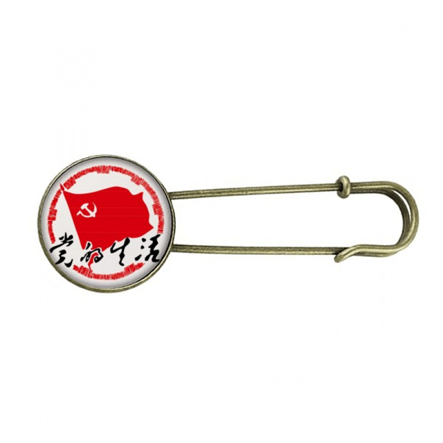 La parte china emblema del patriotismo EsES Broche De Broche De Metal Antiguo Unbranded M
