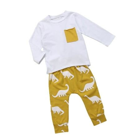 

Pudcoco Infant Baby Boy Dinosaur Tops+Long Pants Outfits