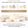 thumbnail image 2 of 5 lbs Approx. 25 White River Rocks (2-3 Inches) Stones for Plants Pebbles for Indoor Plants | Aquarium Fish Tank Rocks | Polished Decorative Rocks for Vases, 2 of 7