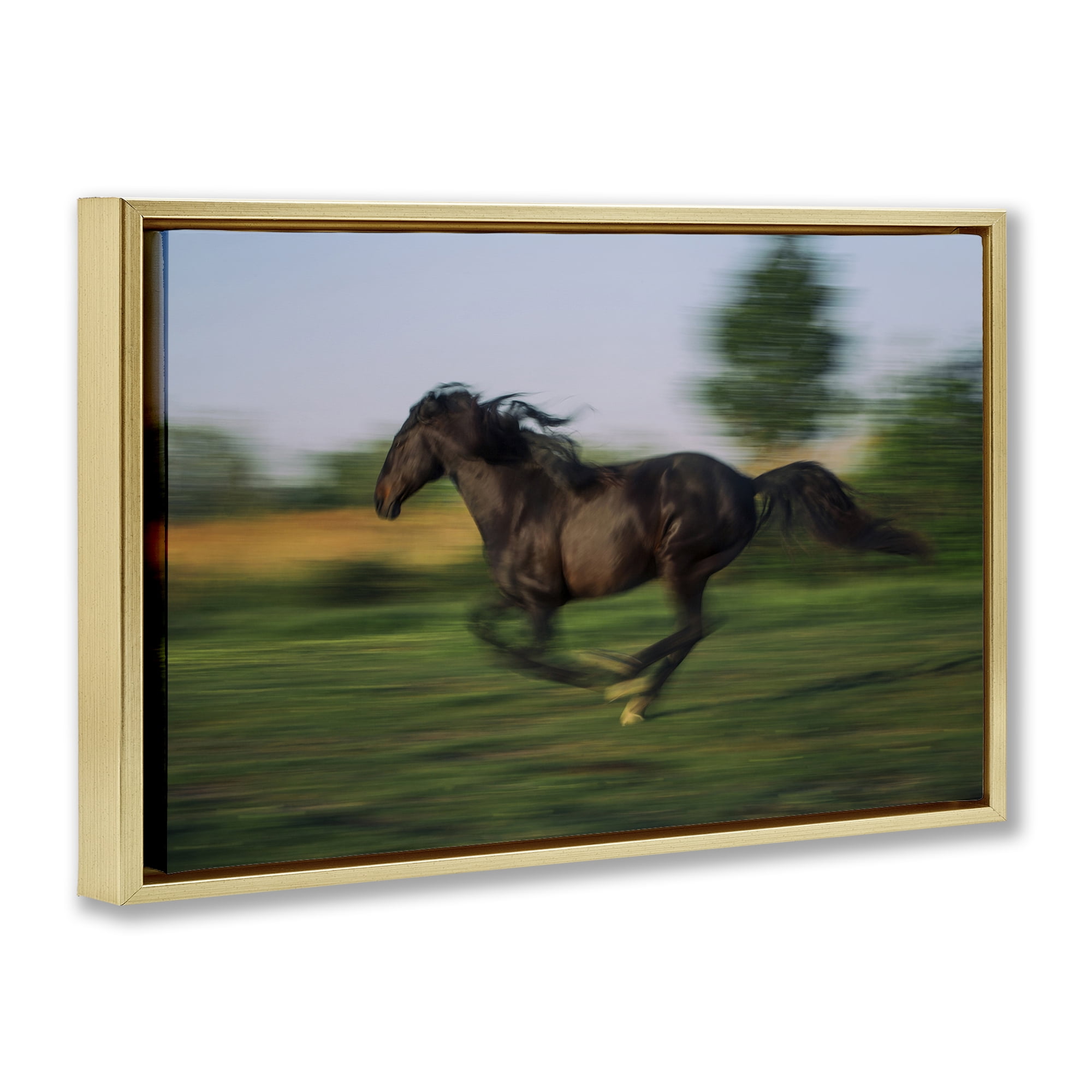 Stupell Industries Dashing Camargue Racehorse Gold Framed Floater Canvas Wall Art, design by Scott Stulberg