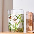 thumbnail image 4 of fastboy 1/2/3 ABS Waterproof Bathroom Waste Bin With Lid For Long-lasting Use Bathroom Bin And Toilet Brush Set Bathroom Bin With Lid Transparent Large [R 1 1 Pc, 4 of 6