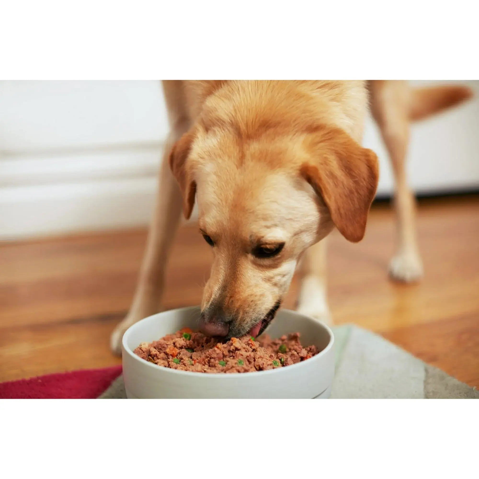 PetPlate Human-Grade Beef Entrée, Fresh Grain-Free Dog Food, All Life Stages, Frozen, 8oz