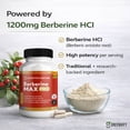 thumbnail image 5 of GreenVify Scientific Nature Berberine Max Pro Metabolic Support Supplement – Supports Glucose Metabolism & Daily Wellness, 5 of 5
