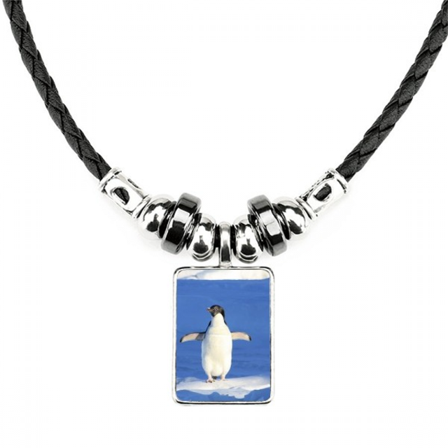cute white penguin science nature picture collar a mano colgante de cuerda de cuero Unbranded M