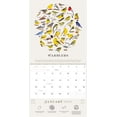 thumbnail image 3 of Birds of North America 2019 Calendar, 3 of 4