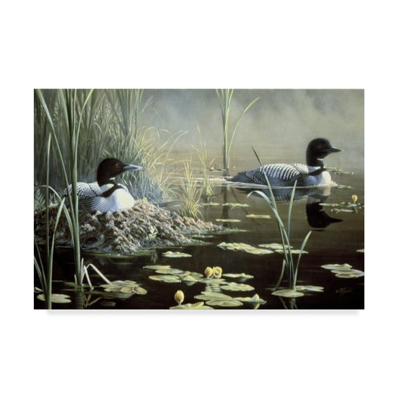 Trademark Fine Art 'Nesting Loons' Canvas Art by Wilhelm Goebel
