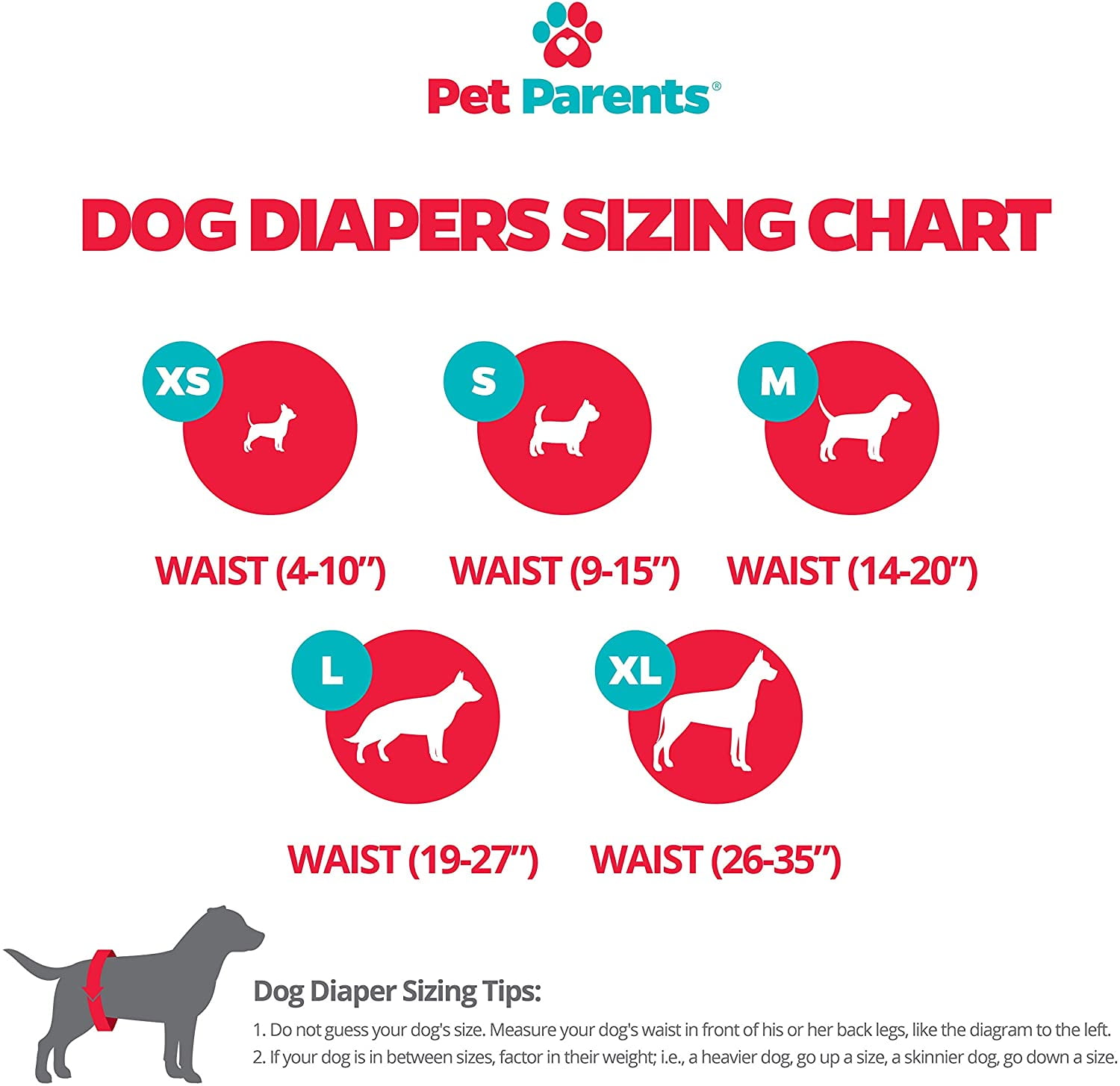 Pet parents dog diapers hotsell