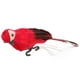 thumbnail image 5 of Loro creativo espuma pluma artificial imitación pájaro modelo ornamento rojo Hugtrwg Para estrenar, 5 of 8