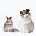 thumbnail image 5 of Pet Sun Hat with Ear Holes, Adjustable Baseball Visor Cap for Small Dogs Cats, Summer UV Protection Outdoor Travel Accessory, Cute Puppy Photoshoot Prop & Pet Gift Pink Size:L, 5 of 5