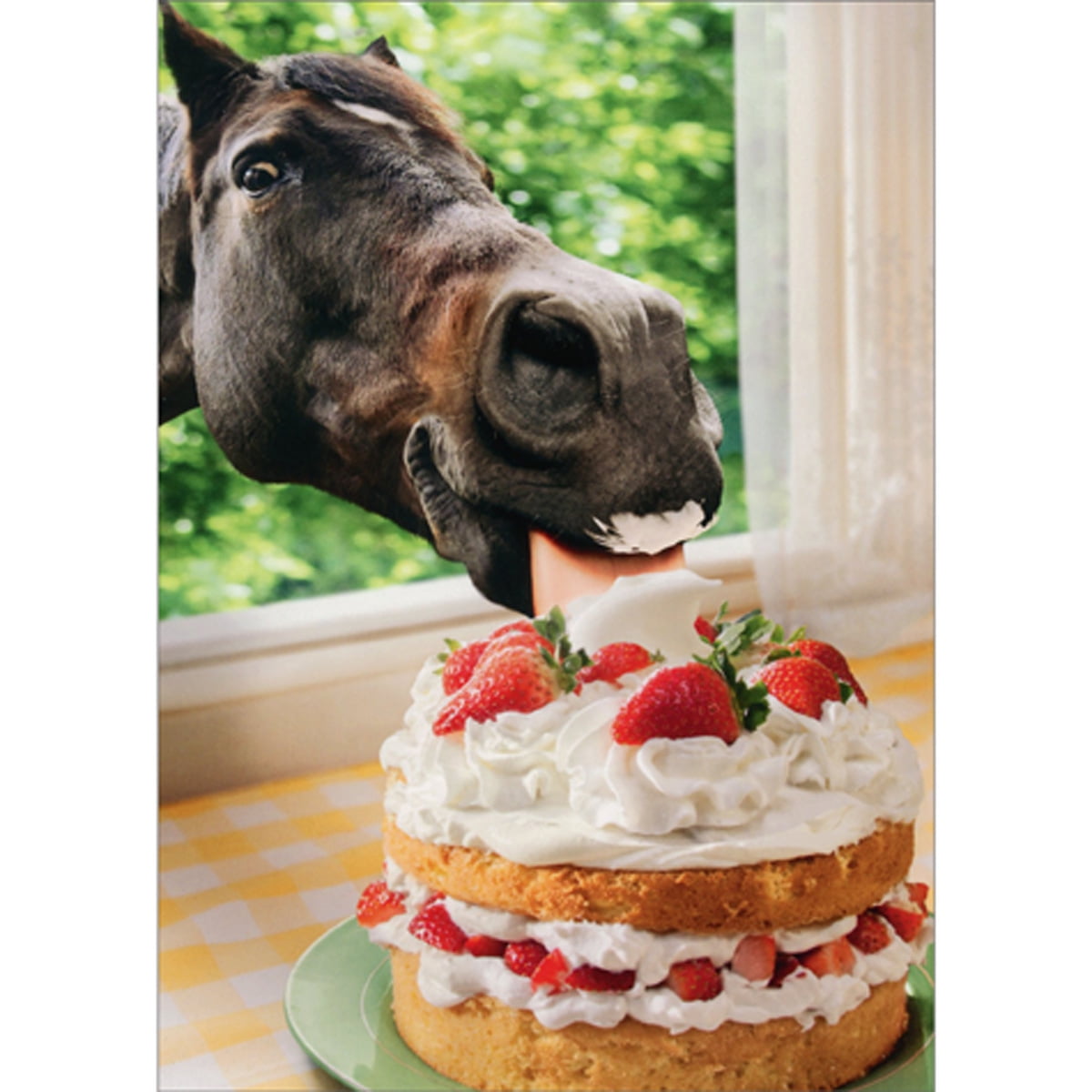 Avanti Press Horse In Window Eating Cake Funny / Humorous Friendship