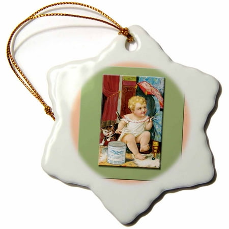 3dRose Eagle Condensed Milk Baby Giving a Spoonful to a Kitten - Snowflake Ornament,