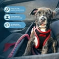 thumbnail image 5 of Voyager Step-In Air Mesh Dog Harness by Best Pet Supplies, 5 of 10