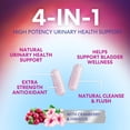 thumbnail image 6 of D-Mannose Supplement - 1,000mg D Mannose Per Serving with Cranberry, Hibiscus & Dandelion - Fast-Acting, Natural Urinary & Bladder Support for Women & Men – Flush & Cleanse Impurities – 180 Capsules, 6 of 10