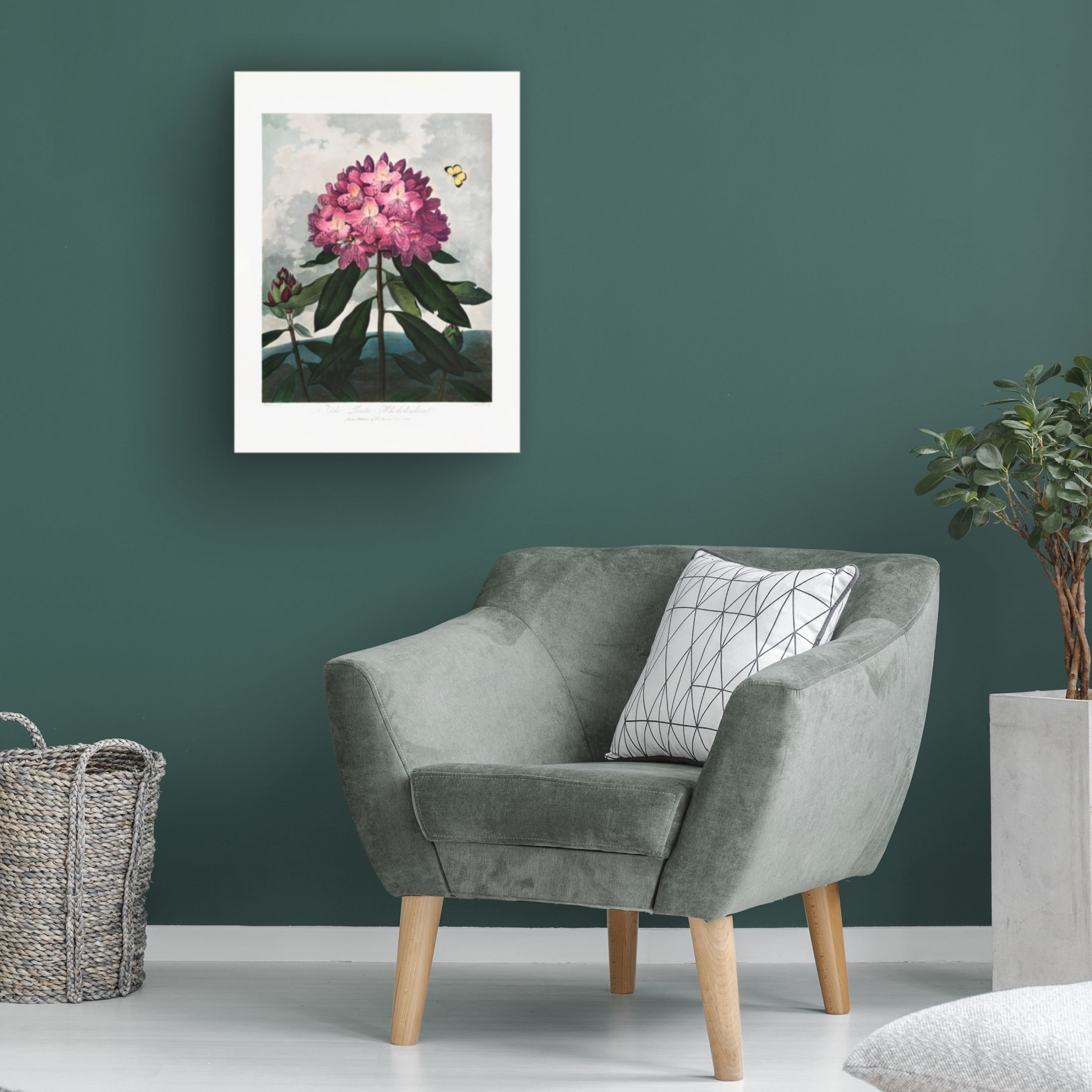 Trademark Fine Art Pictufy  The Pontic Rhododendron from The Temple of Flora 1807 Canvas Wall Art