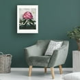 thumbnail image 3 of Trademark Fine Art Pictufy  The Pontic Rhododendron from The Temple of Flora 1807 Canvas Wall Art, 3 of 4