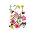 thumbnail image 2 of Flores prensadas secas Strade Fareast Limited juego de flores artesanales, 2 of 8