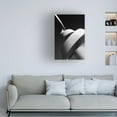 thumbnail image 2 of Canvas Wall Art - Joao Galamba 'The Scroll' Wall Art for Living Room, Bedroom, or Office Décor by Trademark Fine Art - 30 x 47 Inches, 2 of 4