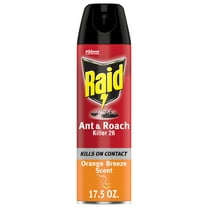 Raid Ant & Roach Killer 26, Orange Breeze Scent, 17.5 oz