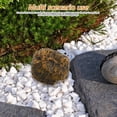 thumbnail image 4 of unbranded Oculto Para Llaves Exterior Con Piedra Y Protección Anticorrosión, 4 of 8