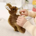 thumbnail image 4 of Juguete de Peluche Mediano Marrón -11 Inch Kangaroo Plush Animal de Peluche - Lindos Peluches de Kangaroo Mom, 4 of 6