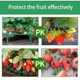 thumbnail image 4 of Yazoeia Strawberry Plant Support, Reusable Strawberry Growing Racks, Adjustable Plant Stand Strawberry, Growing Holder for Strawberry Planting, Keeping Fruit Off Rot and Berries Clean (10, 4 of 7