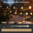 thumbnail image 3 of Licoopr 25FT Outdoor String Lights shatterproof Patio Lights,8+1 Edison LED Bulbs for Backyard,Garden,Porch, 3 of 10